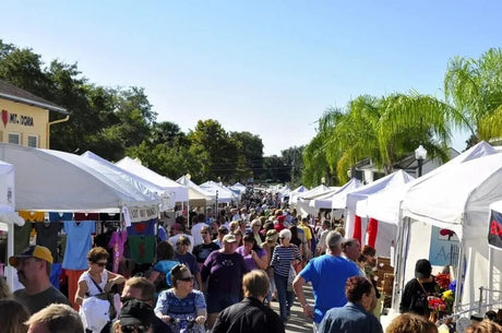 35th Annual Mount Dora Craft Fair