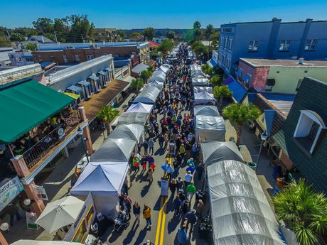 38th Annual Mount Dora Craft Fair