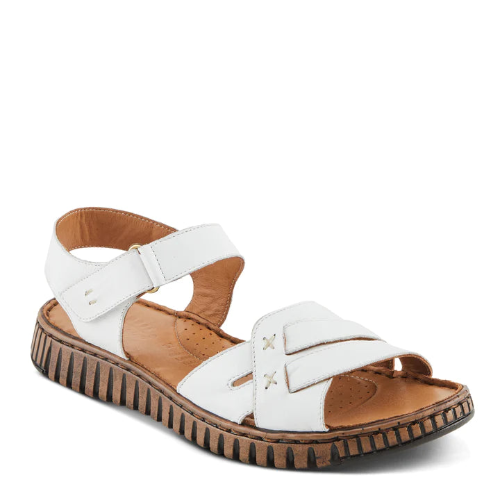 Nochella SPRING FOOTWEAR CORP