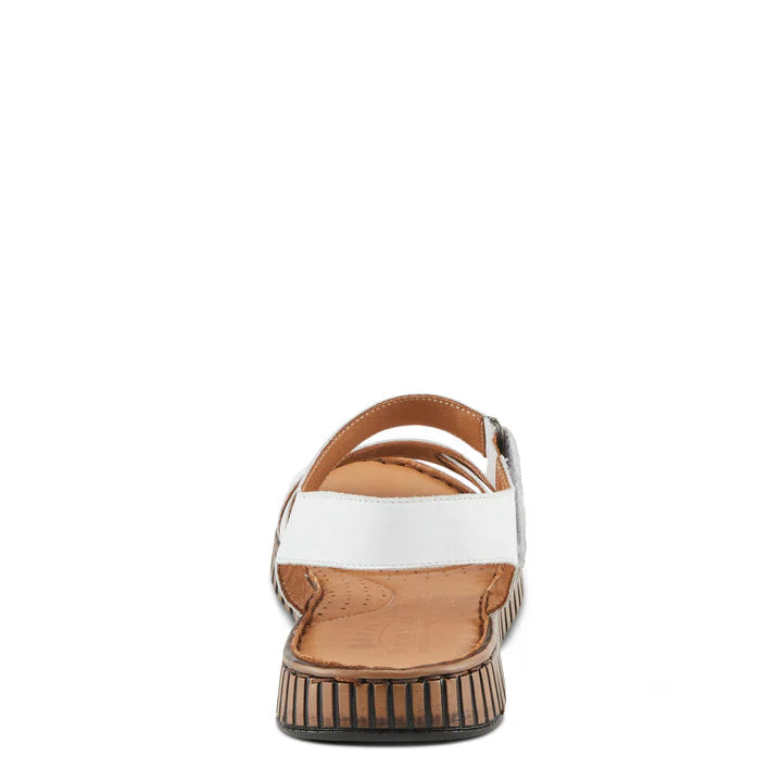 Nochella SPRING FOOTWEAR CORP