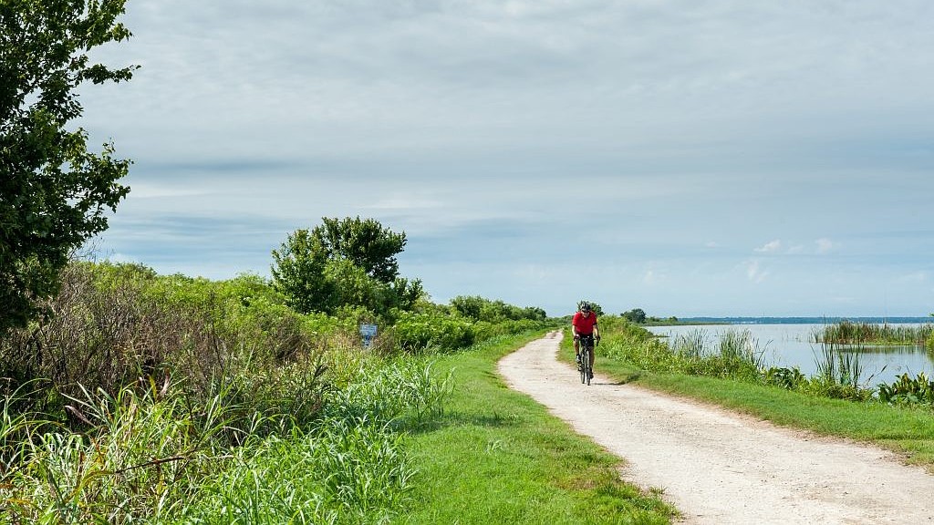 Lake Apopka Wildlife Drive