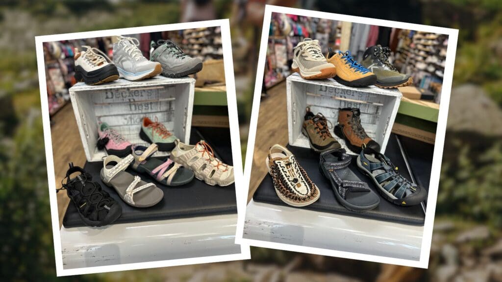best shoes for hiking